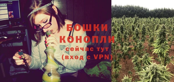 эйфоретик Верея
