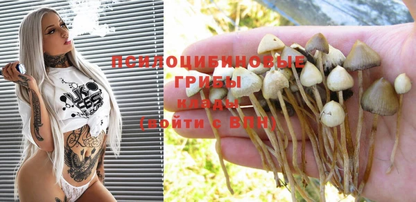 эйфоретик Верея